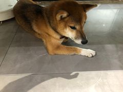-NOTBAD 须时·咖啡馆