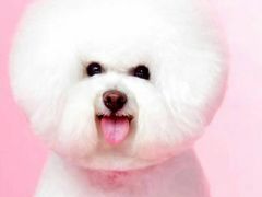 -万达影城(经区九龙城店)