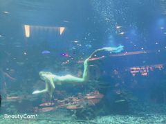 -海棠湾洲际-涛·海底餐厅·美人鱼·自助餐·海底隧道