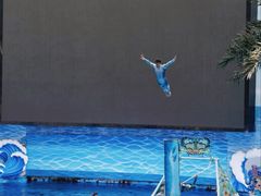 -海合安成都极地海洋公园