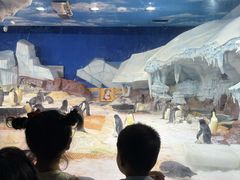 -海合安武汉极地海洋公园