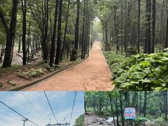 -洛阳白云山景区