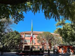 -三里屯东五街银杏大道