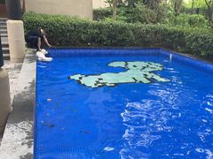 -上海崇明金茂凯悦酒店