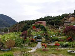 -锄山村