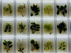 -广东中医药博物馆