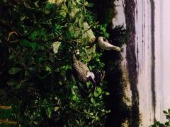 iphone_upload_pic-广东省博物馆