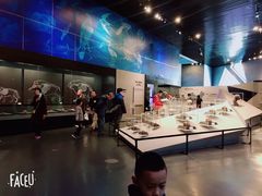 -北京周口店北京人遗址博物馆