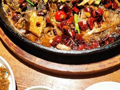 -老板恋上鱼(高新万达店)