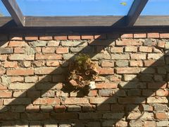 -VOYAGE COFFEE(北锣鼓巷店)