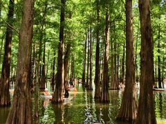 -星湖旅游景区七星岩