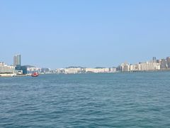 -星光大道