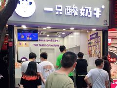 门面-一只酸奶牛(八一路店)