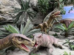 -国家自然博物馆