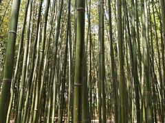 -竹泉村旅游度假区