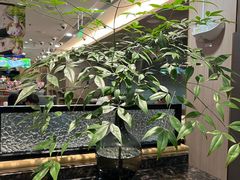 -海底捞火锅(万科广场店)