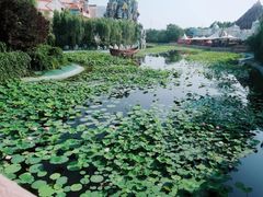 -郑州方特梦幻王国