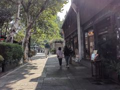 -运河游船(武林门码头)