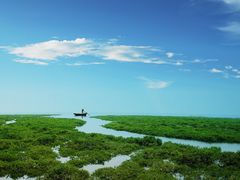 -北海金海湾红树林生态旅游区