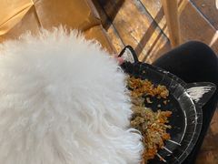 -the rug 飞毯 (朝阳公园店)