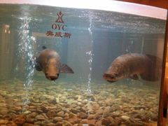 android_upload_pic-肇庆奥威斯酒店