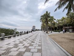 -深圳湾公园(南山区)