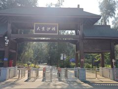 -大京沙滩