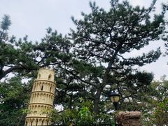 -八大关景区
