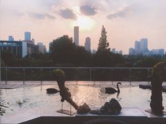 景观位-行者书屋大堂吧 ·下午茶(南京圣和府邸酒店)