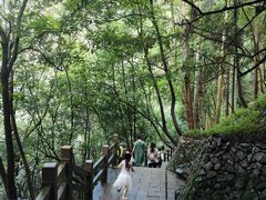 -刘伯温故里景区百丈漈