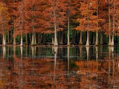 -白鹭湾湿地公园