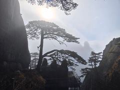 -黄山风景区