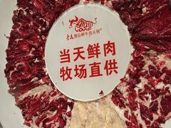 -手选潮汕鲜牛肉火锅(二七广场店)