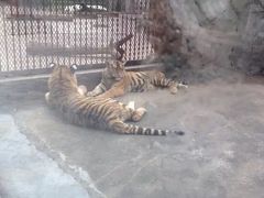 -南昌动物园