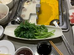 -海底捞火锅(金鼎广场店)