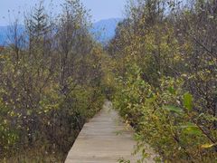 -白草畔自然风景区