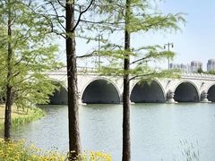 -尚贤河湿地