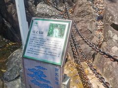 -广州白江湖森林公园