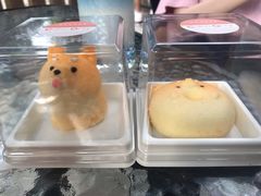 -柴犬高等学院·狗咖·柴犬售卖·宠物训练