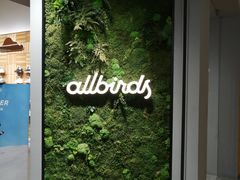-allbirds(三里屯太古里南区店)