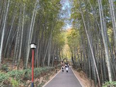 -穹窿山景区