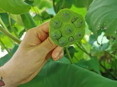 -法华学问寺-停车场