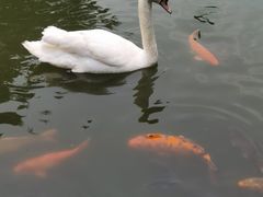 -海南热带野生动植物园