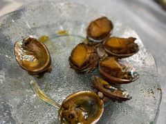 熟醉鲍鱼-丁字口海鲜热炒·烧烤大排档