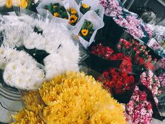 -秦美花卉(天朗·莱茵小城2期店)