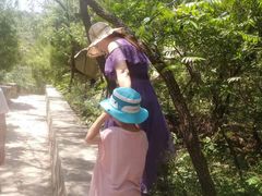 -碓臼峪自然风景区