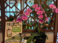 -洋洋中餐馆·SINCE 1997(信投店)