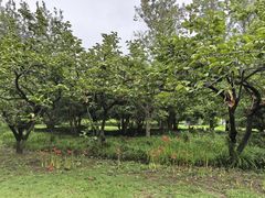 -狼山风景名胜区