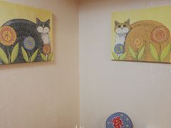 -猫音日语留学培训