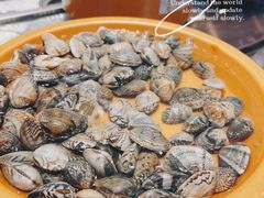 -龍歌自助小火锅(市北台东利群店)